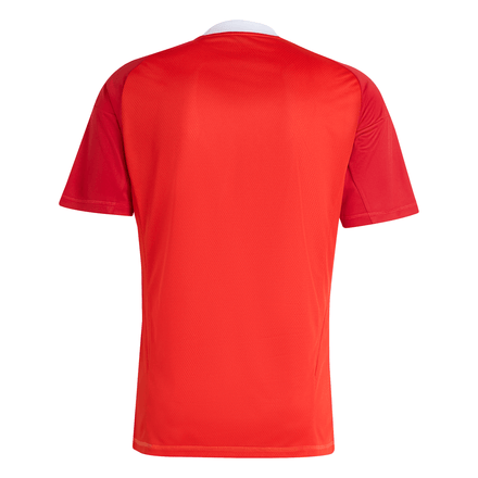 Manto Flamengo Goalkeeper 3 2025 - Fan Version