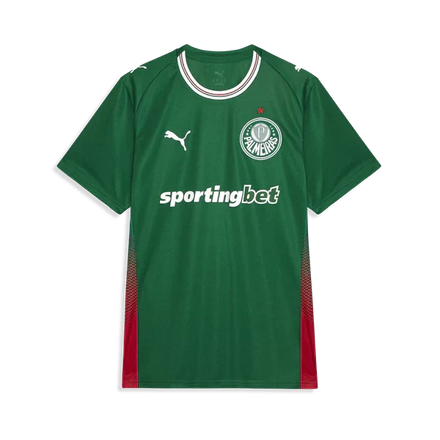 Palmeiras 2026 I Home Jersey - Fan Version