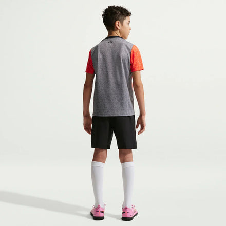 Chelsea Nike Youth 2025/26 Academy Pro Pre-Match Top - Gray