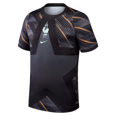 France National Team Nike Men's 2026 Goalkeeper Stadium Replica Jersey - Gray