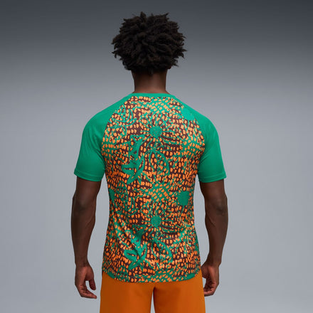 Ivory Coast National Team Puma 2026 Pre-Match Top - Green