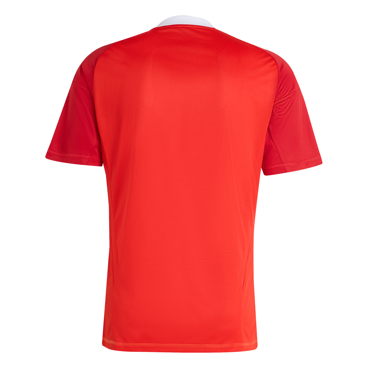 Manto Flamengo Goalkeeper 3 2025 - Patrocinio Fan Version