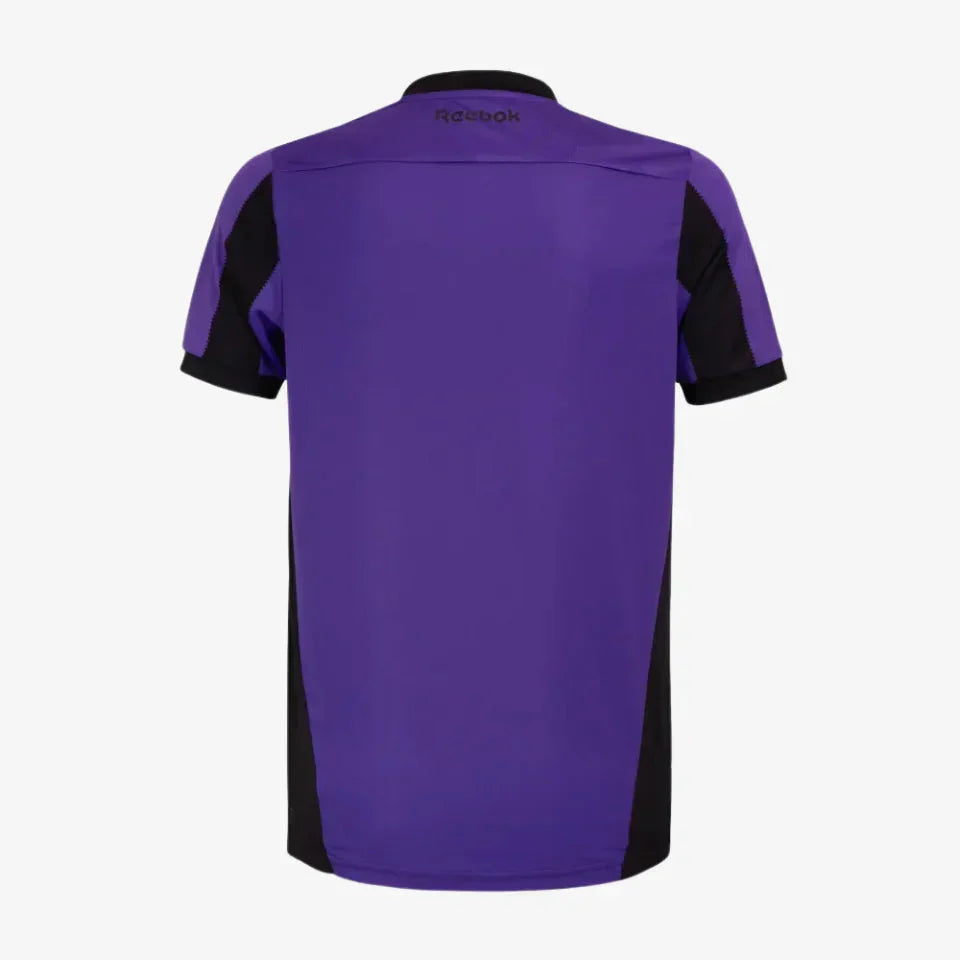 Jersey Goalkeeper Botafogo 2024/25 IV