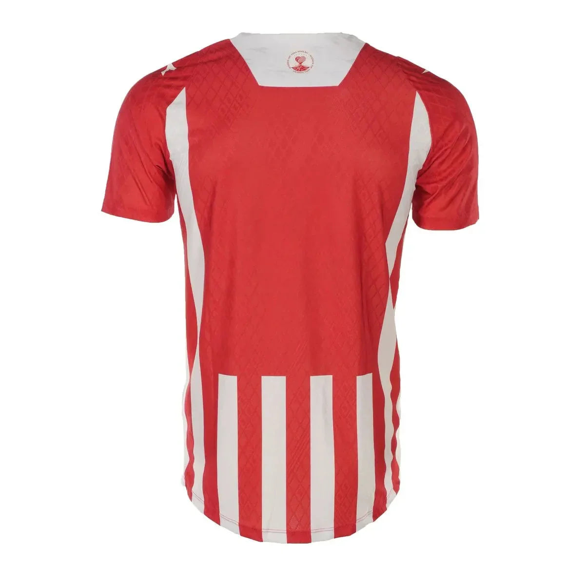 Camisa Náutico Home