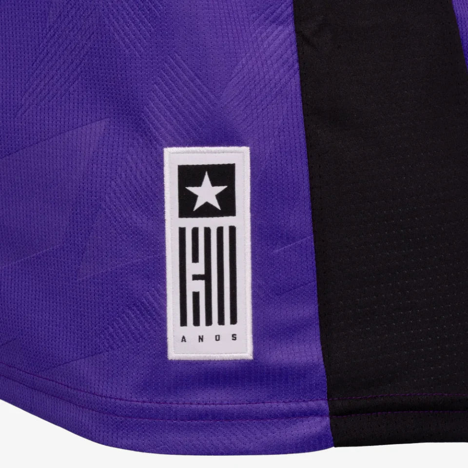 Jersey Goalkeeper Botafogo 2024/25 IV