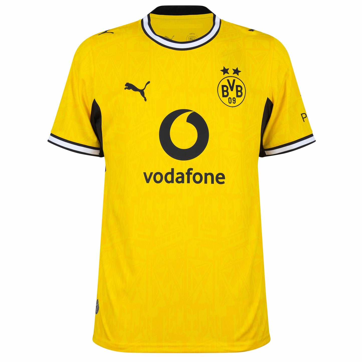 Borussia Dortmund Home Fan Jersey 2026-2027