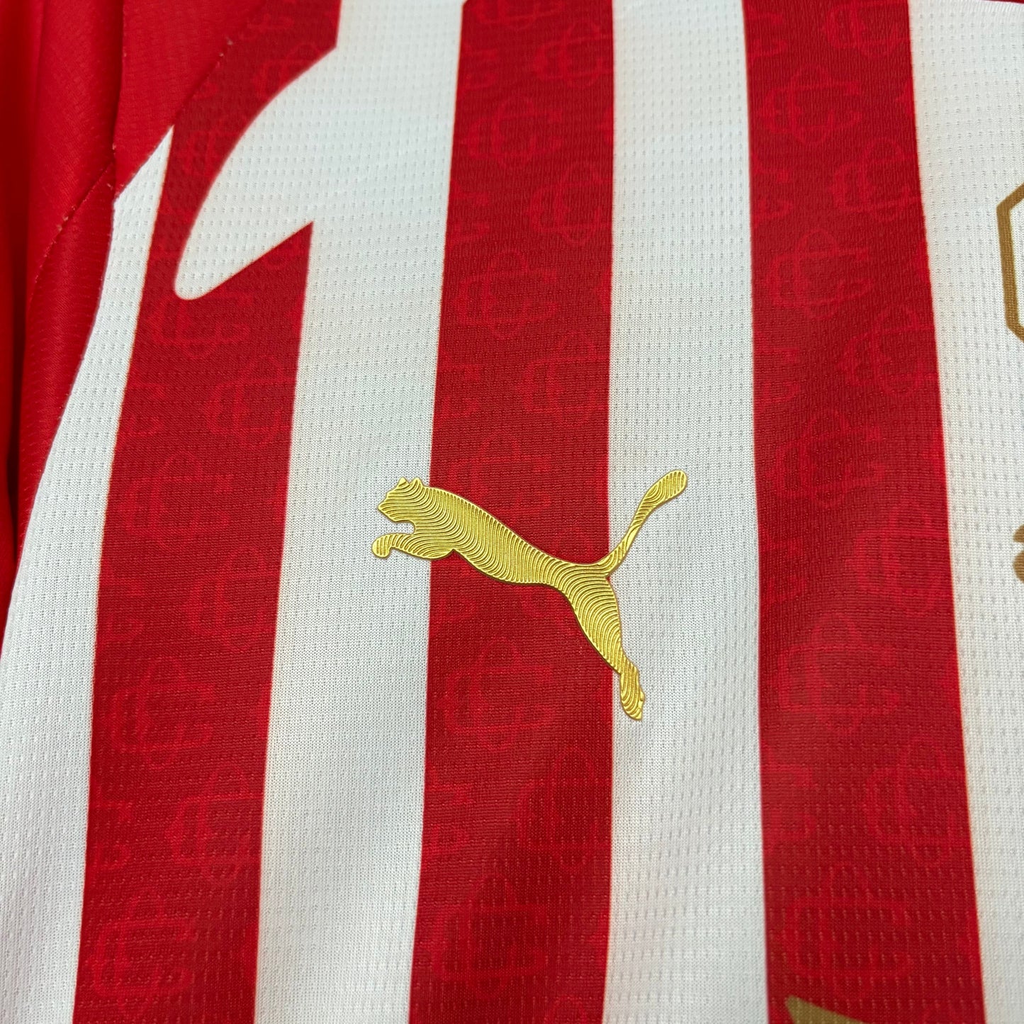 2026/27 Chivas Jersey - Fan Version