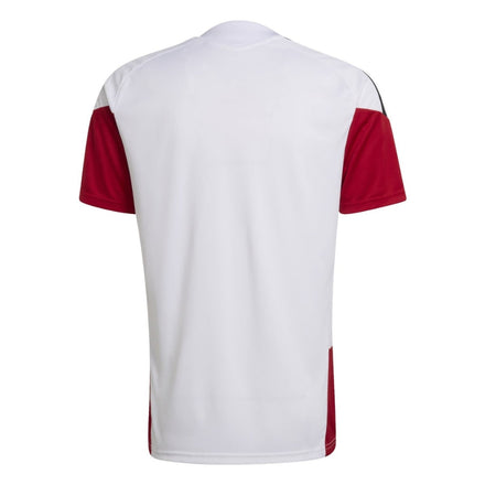Germany Pre-Match Fan Jersey 2026-2027 World Cup