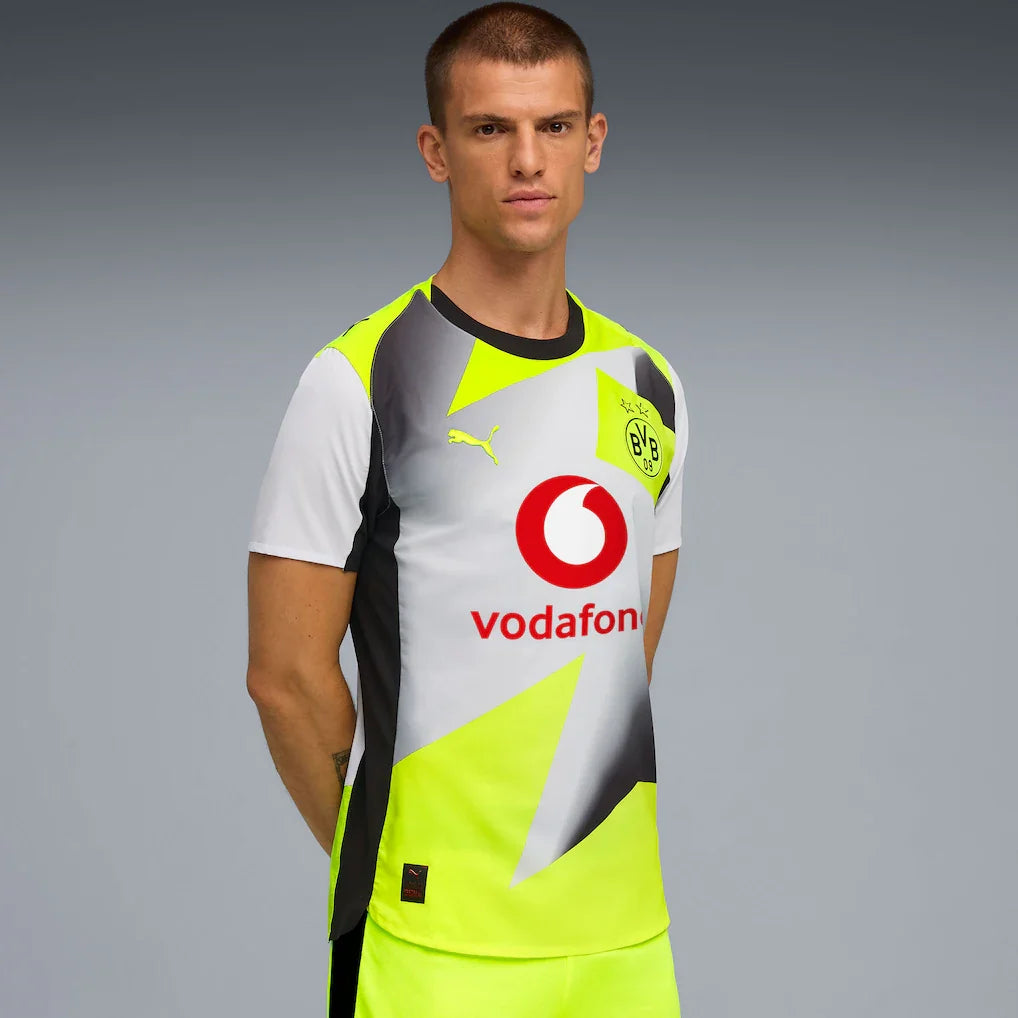 Borussia Dortmund 2025/26 Away - Gray