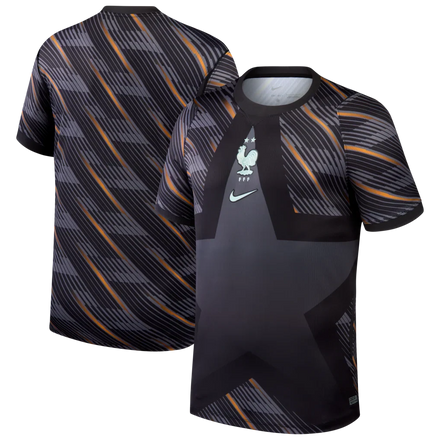 France National Team Nike Men's 2026 Goalkeeper Stadium Jersey - Gray