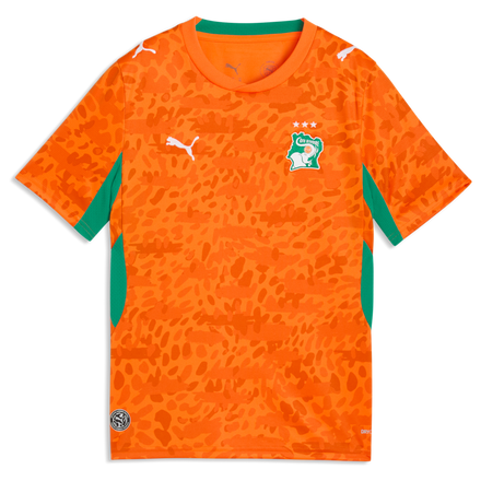 Ivory Coast National Team Puma Youth 2026 Home Jersey - Orange