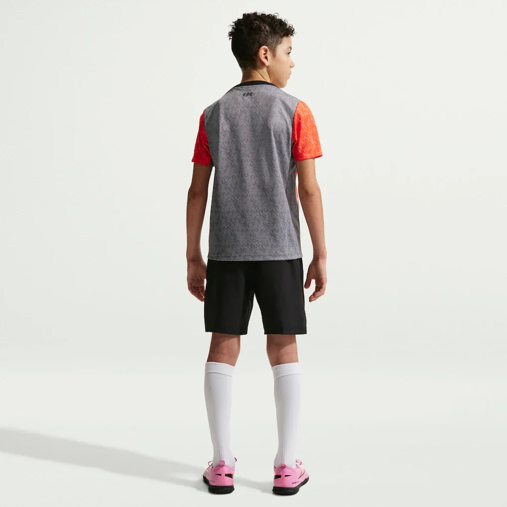 Chelsea Nike Youth 2025/26 Academy Pro Pre-Match Top - Gray