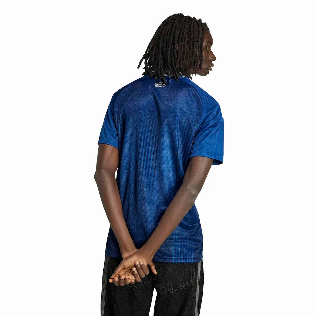 Greece National Team adidas 2026  Replica Jersey - Blue