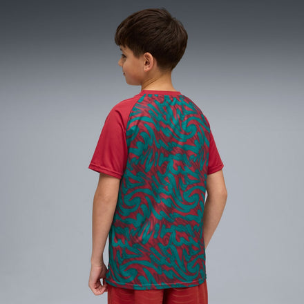 Portugal National Team Puma Youth Pre-Match Jersey - Red