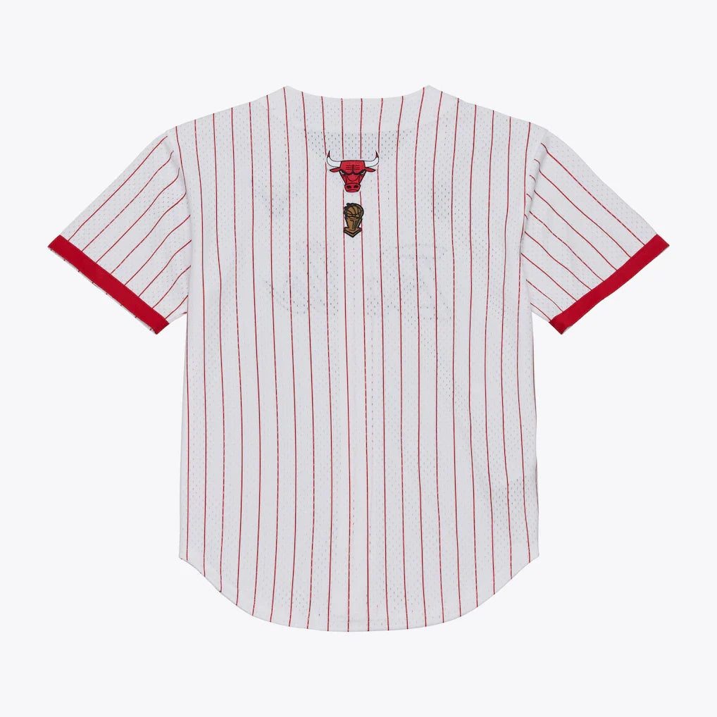Chicago Bulls Mitchell & Ness Head Coach Pinstripe Mesh Full-Button Baseball Jersey - White