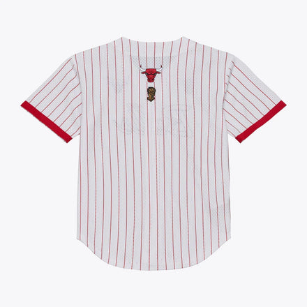Chicago Bulls Mitchell & Ness Head Coach Pinstripe Mesh Full-Button Baseball Jersey - White