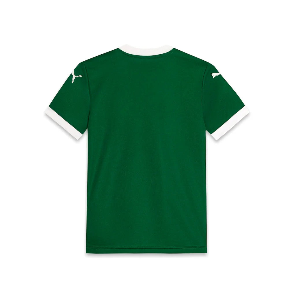 SE Palmeiras Puma Youth 2025/26 Home Replica Jersey - Green