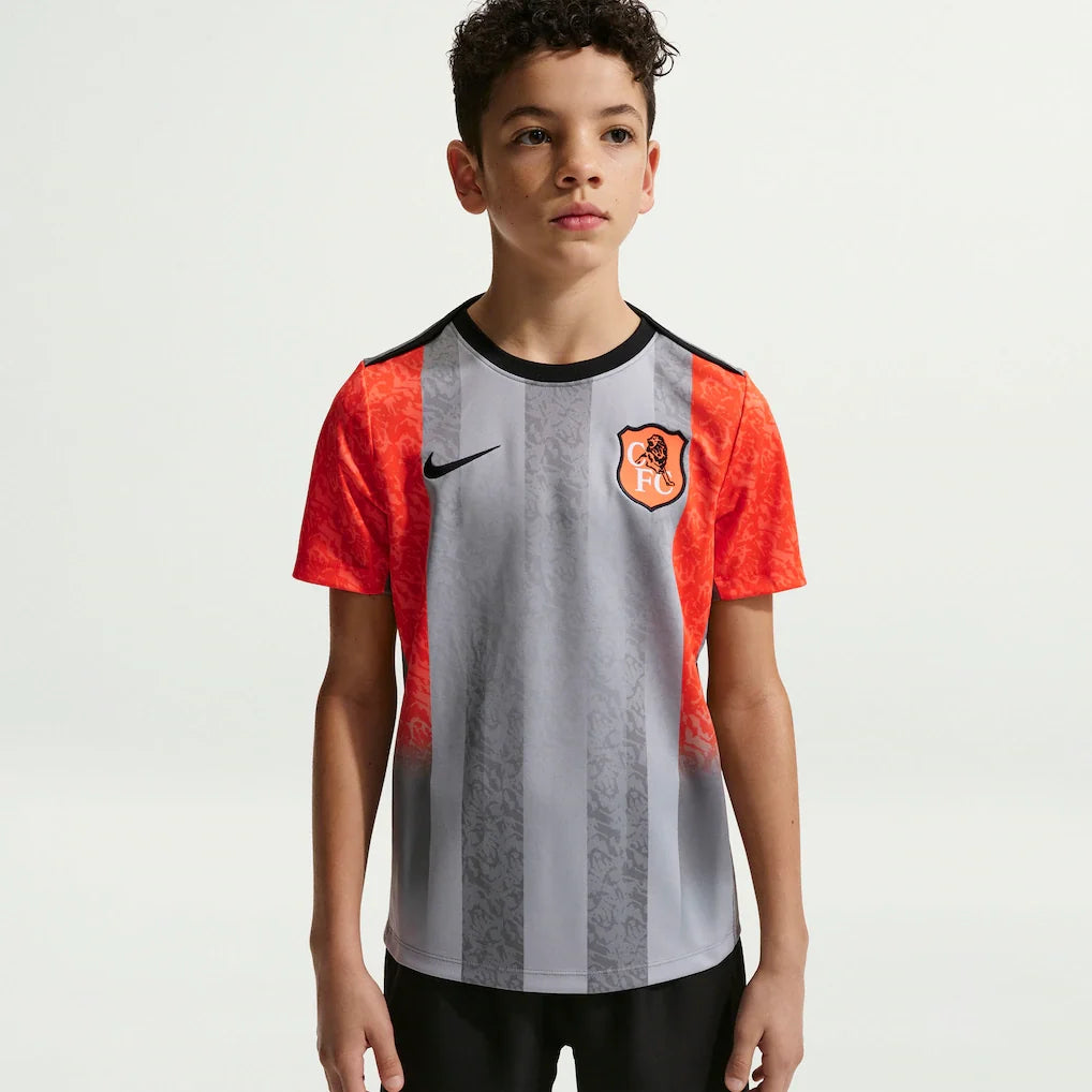 Chelsea Nike Youth 2025/26 Academy Pro Pre-Match Top - Gray