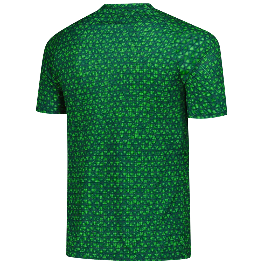 Manchester City Puma 2025/26 Pre-Match Training Jersey - Green