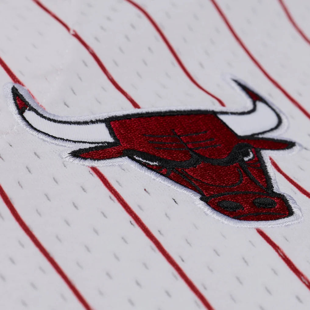 Chicago Bulls Mitchell & Ness Head Coach Pinstripe Mesh Full-Button Baseball Jersey - White