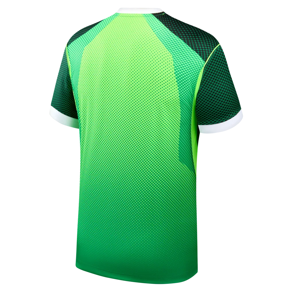 Nigeria National Team Nike 2026 Home Stadium Replica Jersey - Green