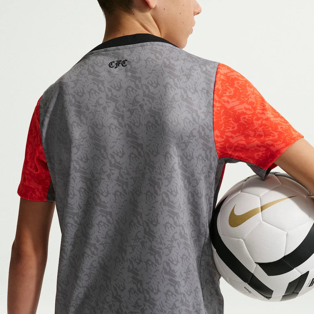 Chelsea Nike Youth 2025/26 Academy Pro Pre-Match Top - Gray