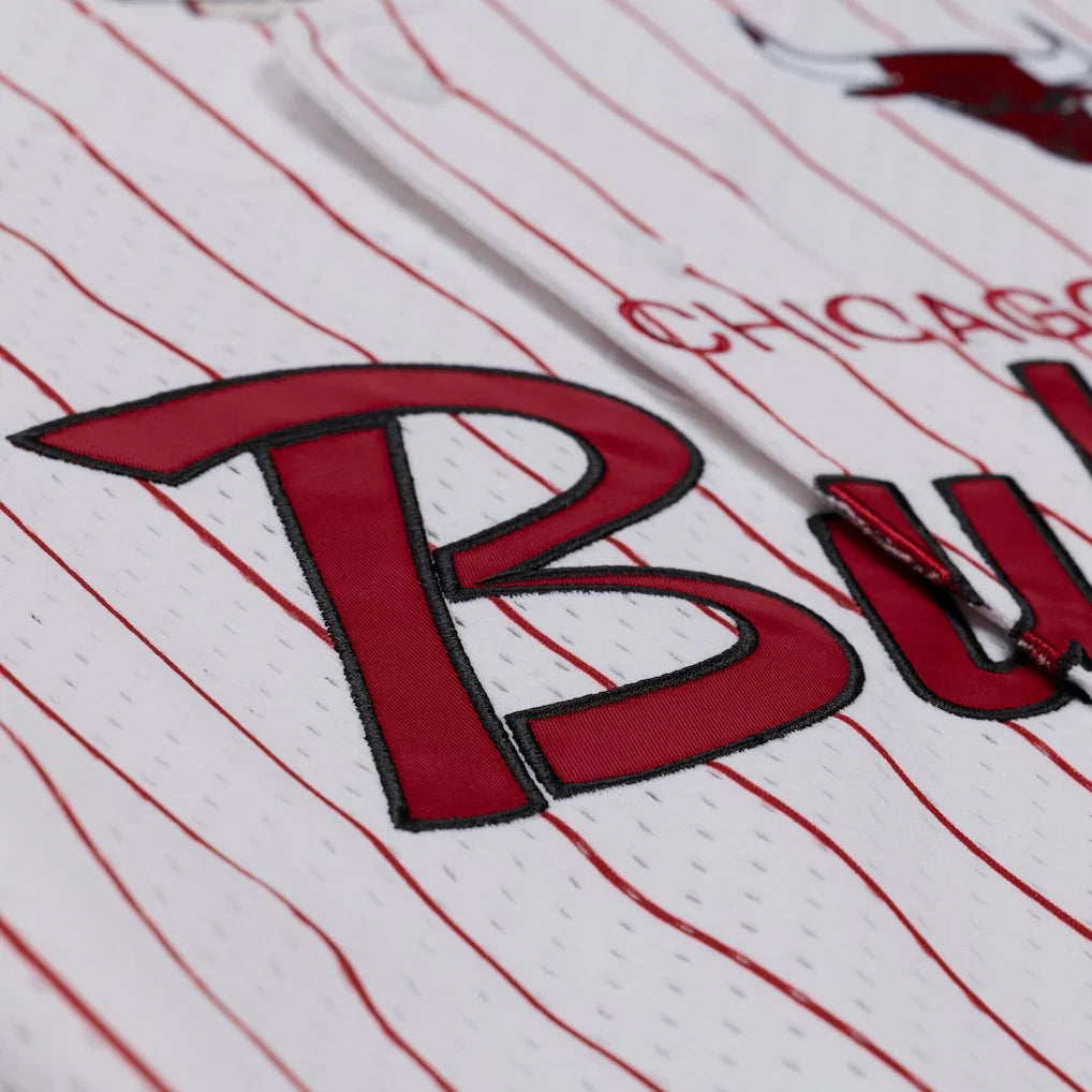 Chicago Bulls Mitchell & Ness Head Coach Pinstripe Mesh Full-Button Baseball Jersey - White