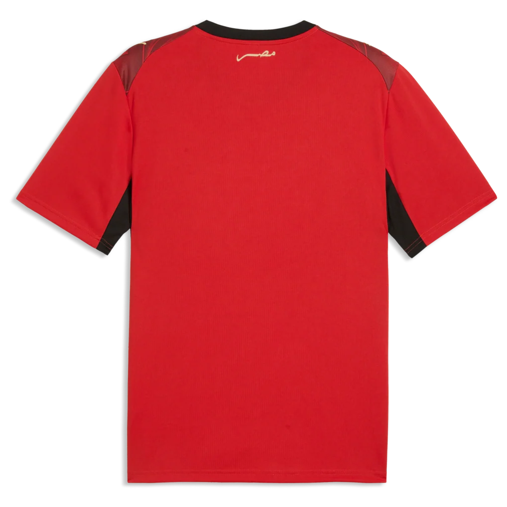 Egypt National Team Puma 2026 Home Replica Jersey - Red