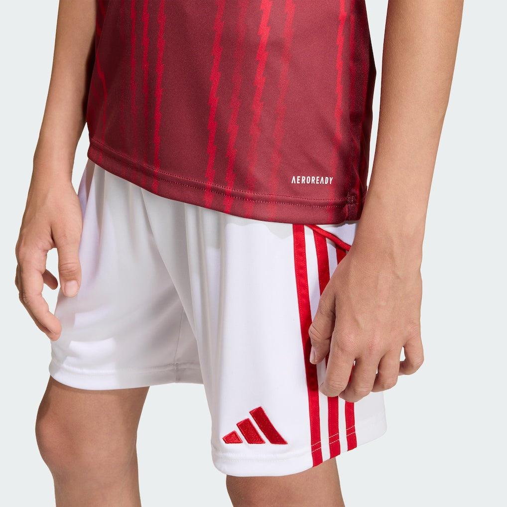Arsenal adidas Youth 2025/26 Pre-Match Training Jersey - Red