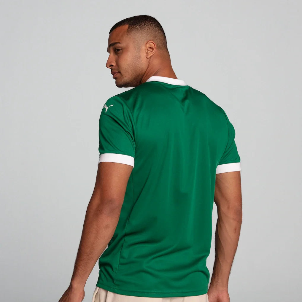 SE Palmeiras Puma 2025/26 Home Replica Jersey - Green