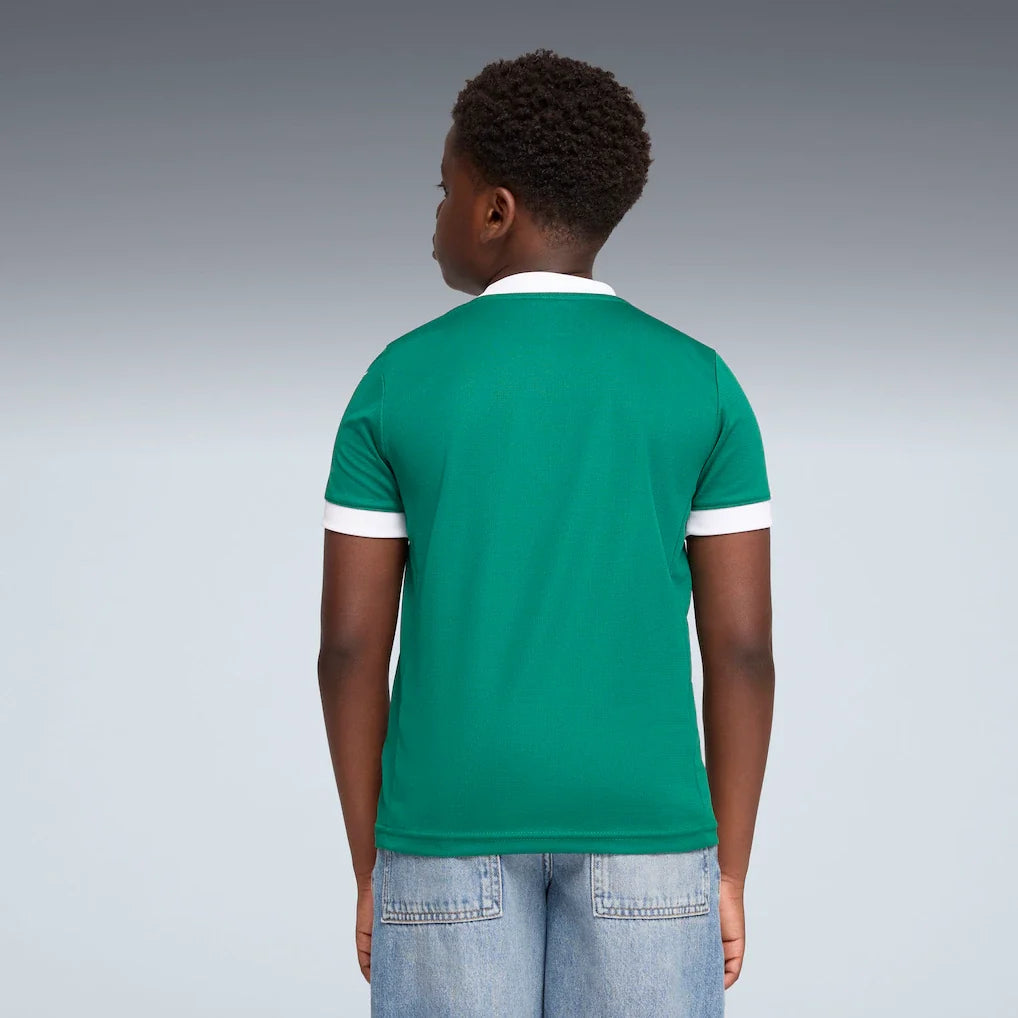 SE Palmeiras Puma Youth 2025/26 Home Replica Jersey - Green