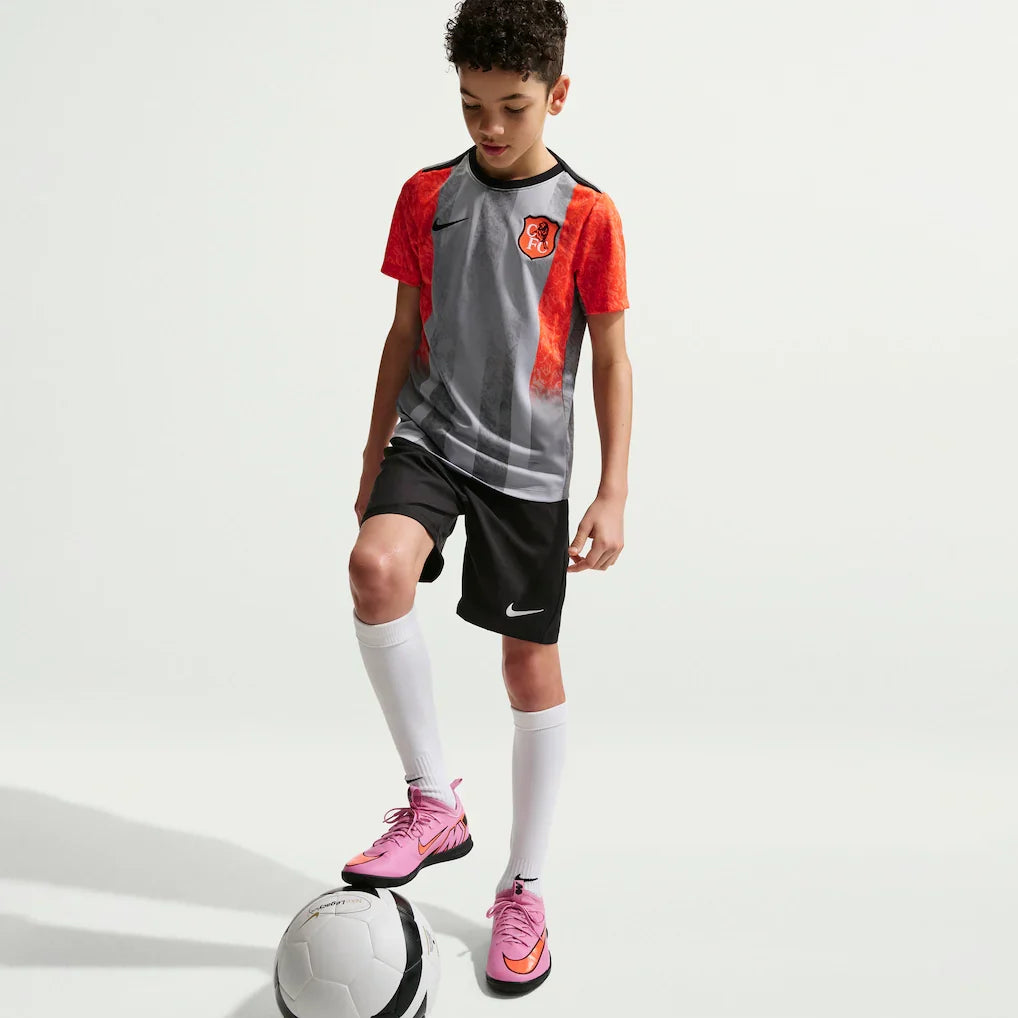 Chelsea Nike Youth 2025/26 Academy Pro Pre-Match Top - Gray