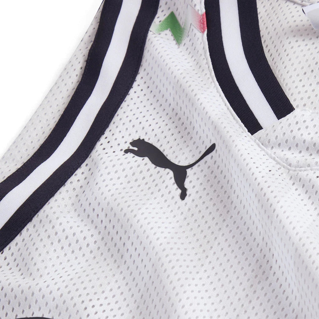 CF Monterrey Puma 2025 FIFA Club World Cup dryCELL Basketball Jersey - Gray