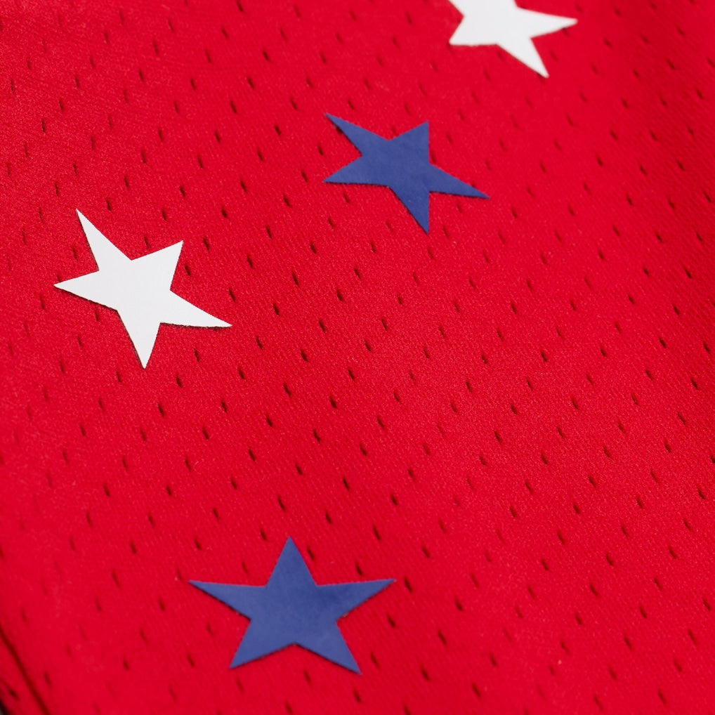 Larry Bird Eastern Conference Mitchell & Ness 1983 All-Star Game Swingman Jersey - Red