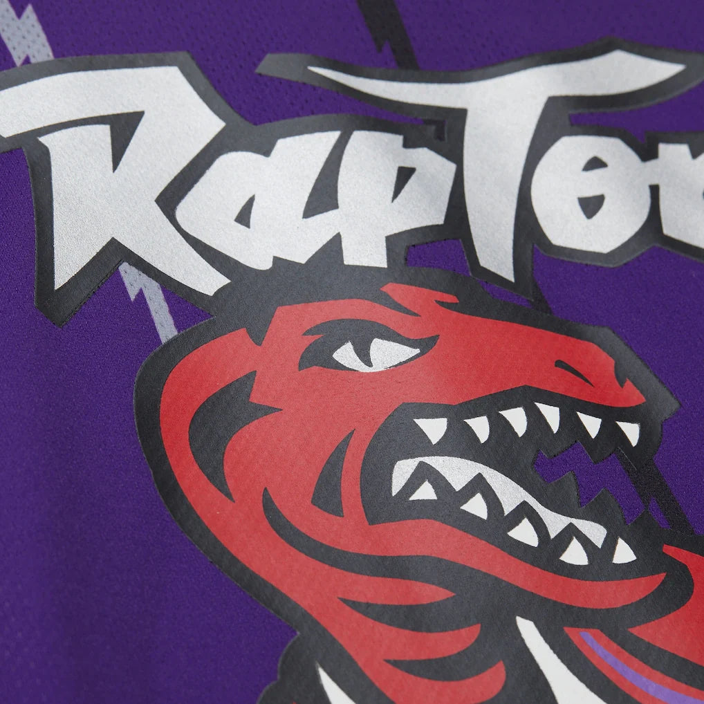 Vince Carter Toronto Raptors Mitchell & Ness Unisex Maxxed Out Fashion Hockey Jersey - Purple