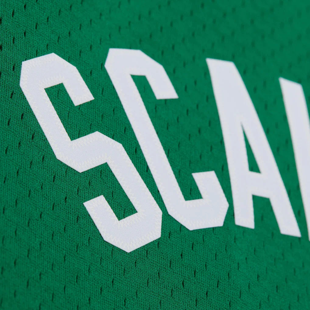 Brian Scalabrine Boston Celtics Mitchell & Ness 2007/08 Hardwood Classics Swingman Jersey - Kelly Green